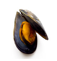 produits-moules-baie-d-isignie